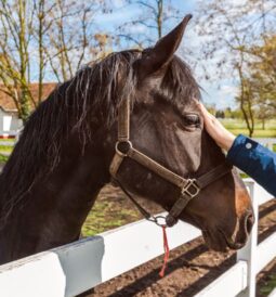 Nowoczesne technologie w terapii uzależnień